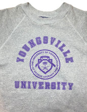 Load image into Gallery viewer, Raf Simons AW1997 &quot;Youngsville University&quot; Raglan Short-Sleeve Crewneck - Size 48
